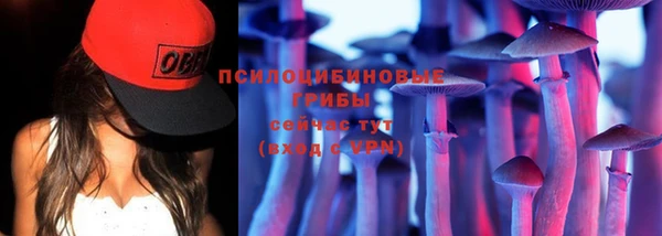 стафф Армянск
