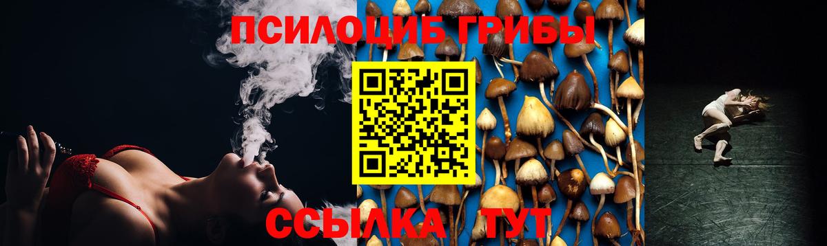 Галлюциногенные грибы Psilocybine cubensis Вязники